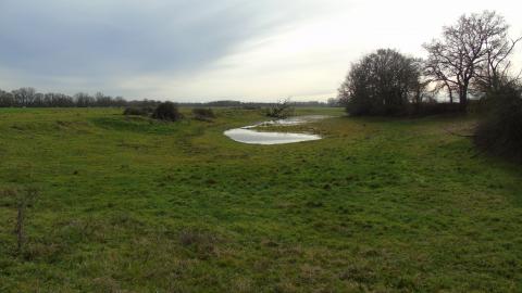 Photographie de la Boire avant travaux de curage